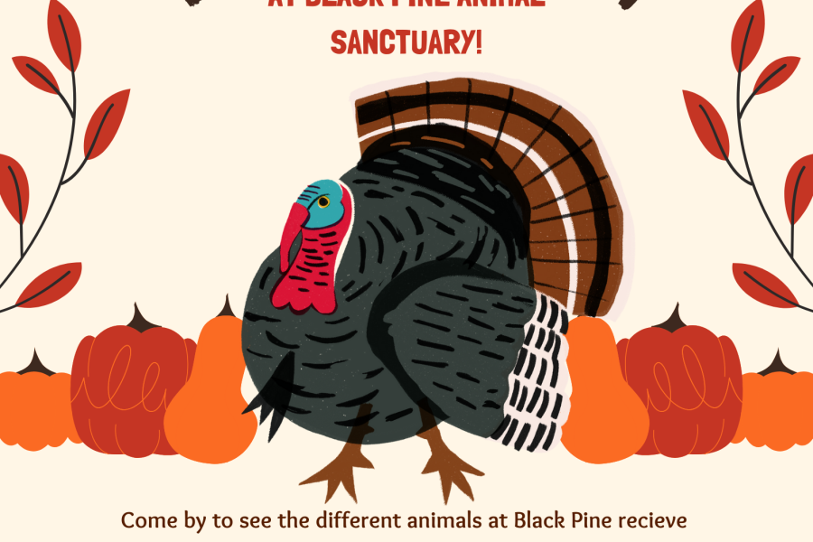 Event poster featuring cartoon turkey & fall decor. Event is November 23rd from 1-4 PM, General Admission Rates Apply