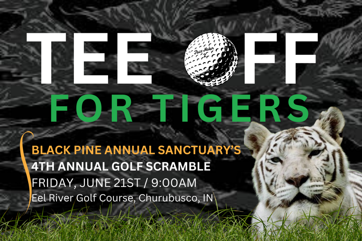 Lions, Tigers and Beer Oh My!': Registration open for Black Pine Animal  Sanctuary fundraiser